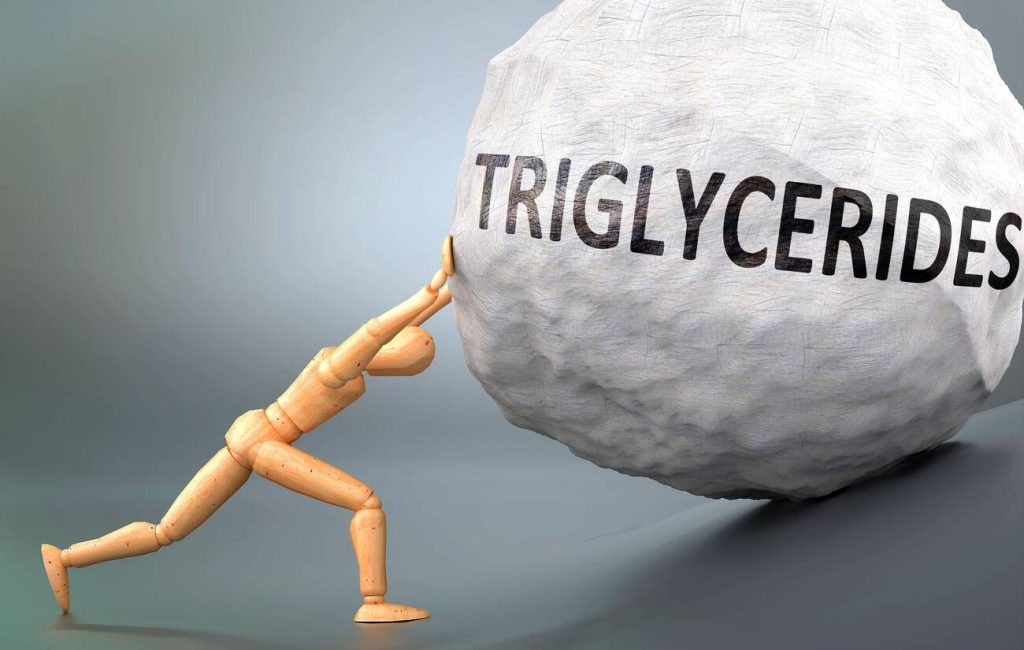 Why Are Some Triglycerides Better For Meal Planning